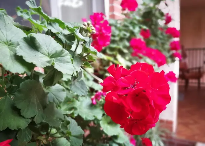 Leggieri Siria Bed & Breakfast